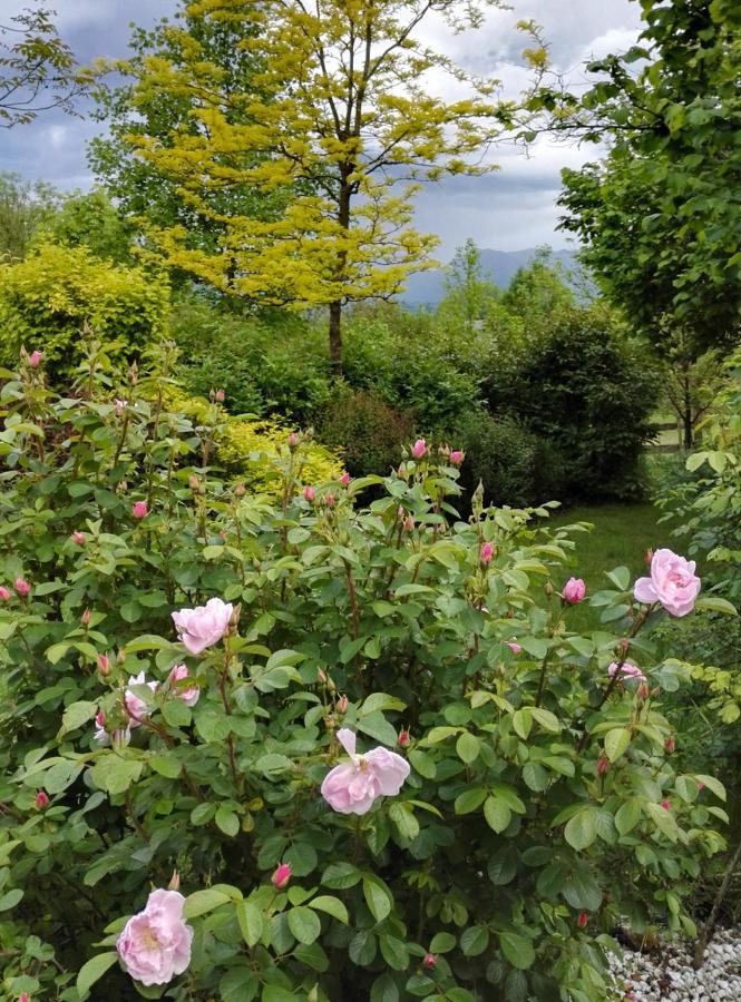 Casa Delle Arti Fattoria Dei Fiori Villa Sospirolo Eksteriør billede