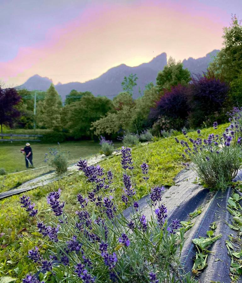 Casa Delle Arti Fattoria Dei Fiori Villa Sospirolo Eksteriør billede