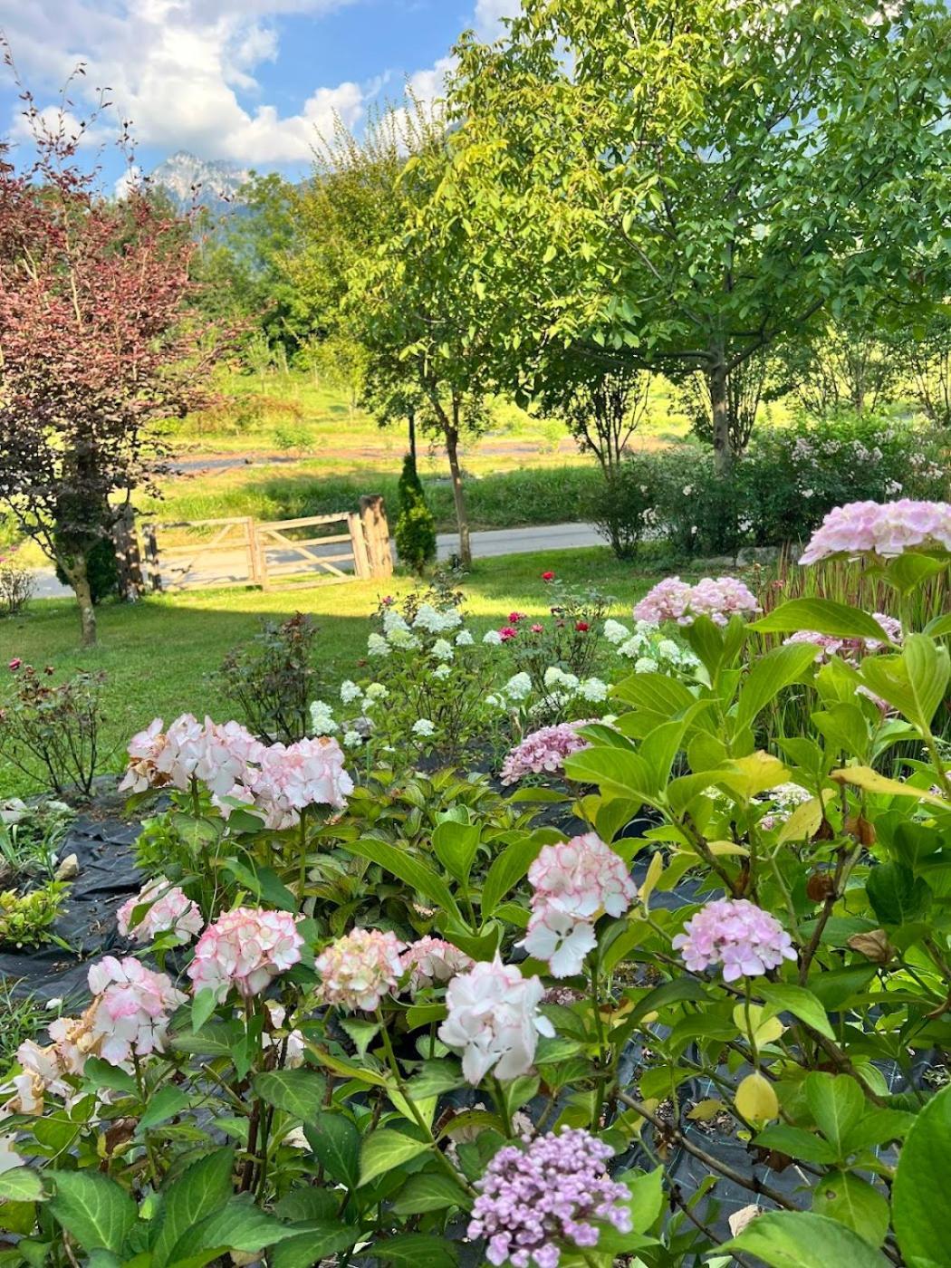 Casa Delle Arti Fattoria Dei Fiori Villa Sospirolo Eksteriør billede
