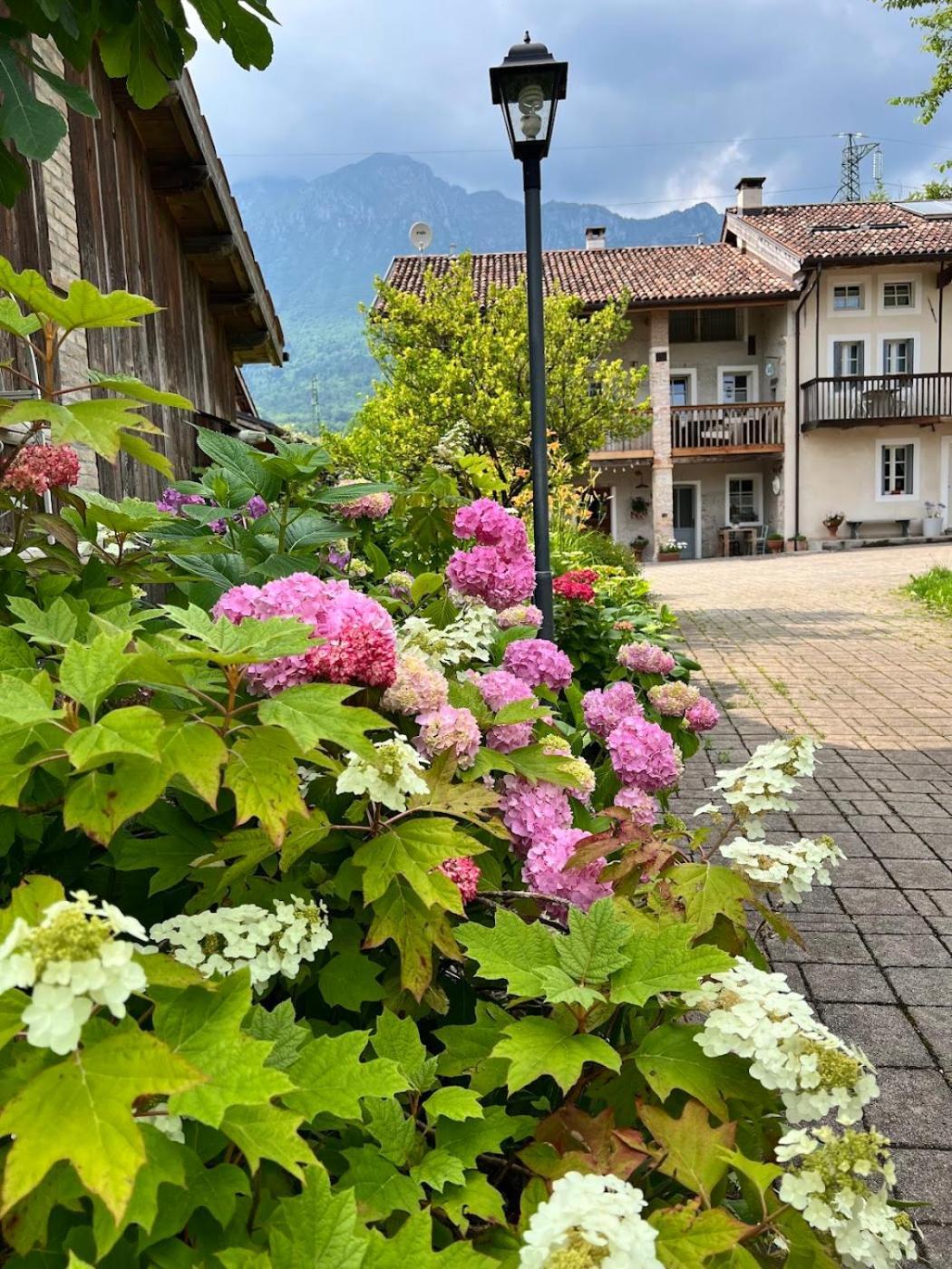 Casa Delle Arti Fattoria Dei Fiori Villa Sospirolo Eksteriør billede