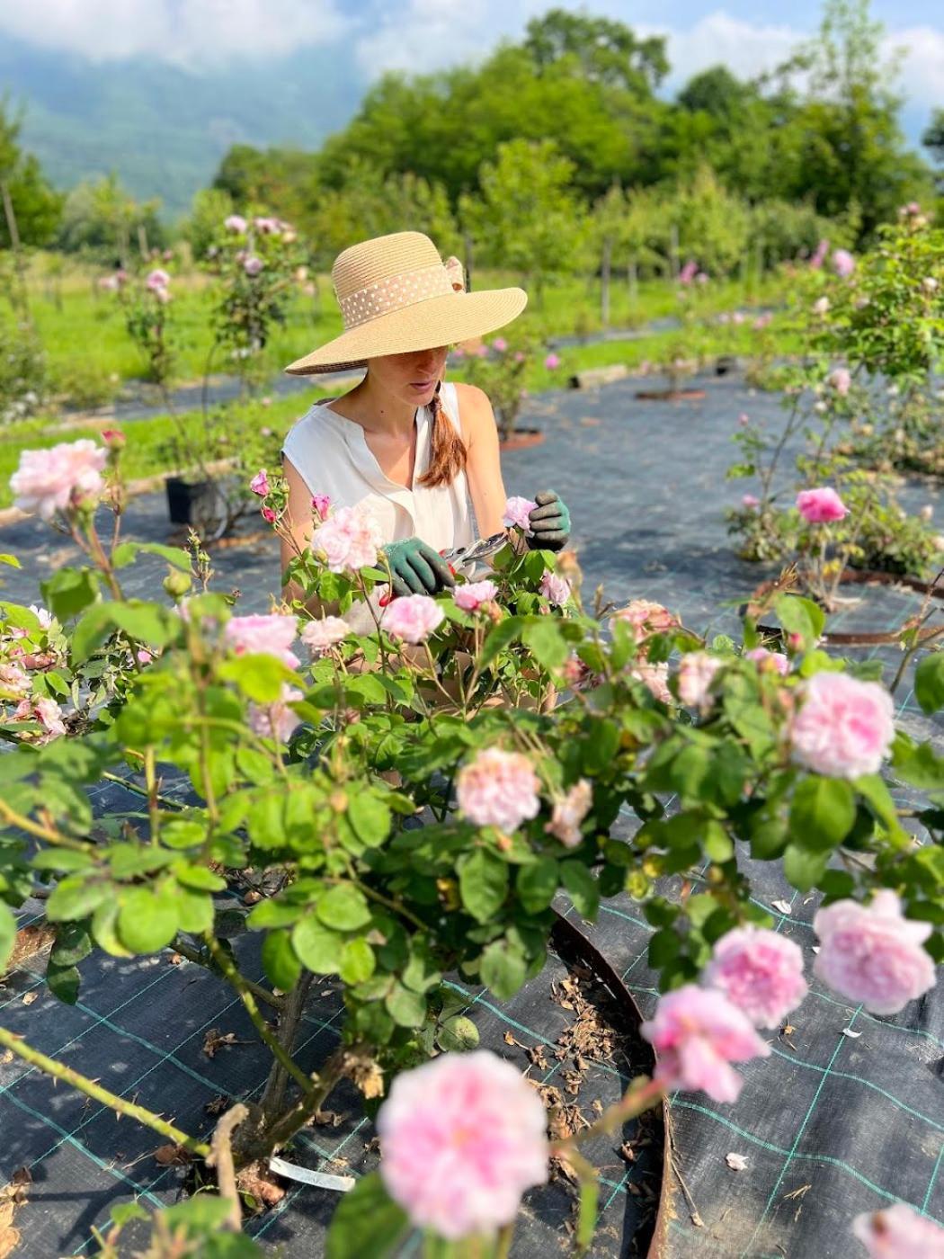 Casa Delle Arti Fattoria Dei Fiori Villa Sospirolo Eksteriør billede